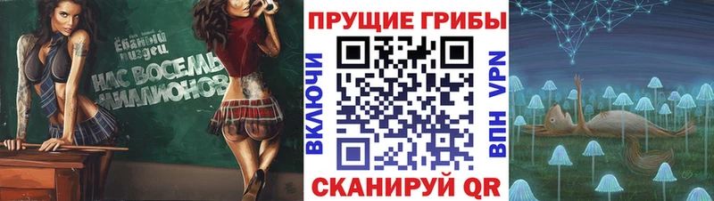 Купить закладки  Дегтярск  Галлюциногенные грибы Magic Shrooms 